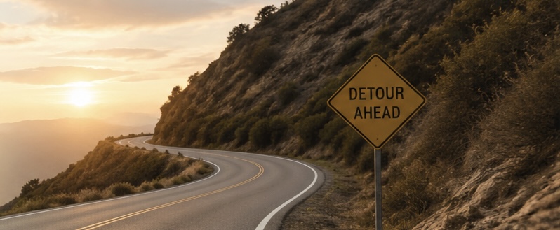 Purpose in the&nbsp;Detour